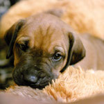 ...ein Blick zum verlieben!