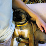 Prinzessin Glove auch entspannt