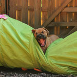 Ich lach mich schlapp