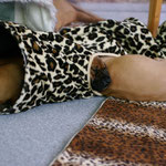 Upps, was ist denn jetzt passiert?