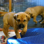 Auf ins neue Abenteuer