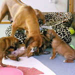 Kleine Ansage von Mama für die kleinen Abenteurer