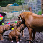 Respektvoller Kontakt