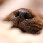 ...oder mit welcher Beleuchtung man sie anschaut!