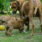 Upps, noch einen kleinen Schluck!