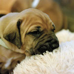 Der Kopf ist sooo schwer