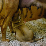 Kleiner Snack zwischendurch