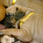 Eingeknautscht - Passt genau!