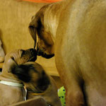 Sohn-Mutter-Gespräch