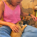 Fotos 1 - 7 wurden von Familie R. geschossen inkl. Kommentare