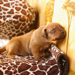 ...etwas auf ihre...