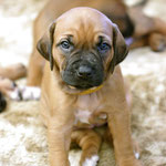 Sie ist ihrer Oma Zaina so ähnlich