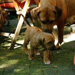 Immer begleitet von Mama Z'Alegria