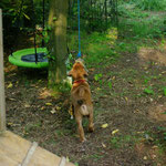 Alles wurde erkundet