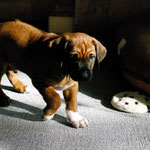 Mister Socks auf dem Weg ins neue Abenteuer