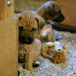 Bis morgen Christa...