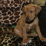 Frau Silber etwas melancholisch!?