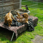 Blöder Bruder, BLÖDER!