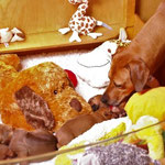 Oma Zaina darf mal "Hallo" sagen