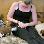 Miss Glove mit vibrierenden Zauberpfötchen