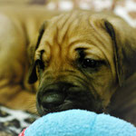 Das nächste Abenteuer im Blick