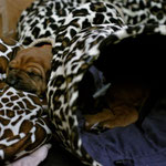 ...durchgehend zauberhaft