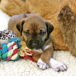 ...BITTEEEE! Audienz bei Prinzessin Gold