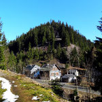 Neumannsgrund