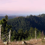 Keltensiedlung Herrenberg