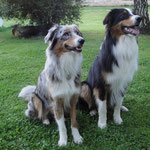 Bones und Bruder Bokassa