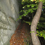 Chemin du retour