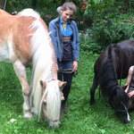 Die zauberhaften Zwillinge Linde und Imme lassen unsere Rentnerpferde Suleik und Momo im Garten grasen