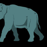 Waldelefant, Illustration in Lebensgröße