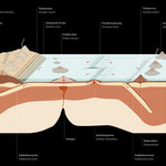 Plattentektonik, beleuchtete Schublade