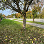 1. Baum mit "Gelbem Band"