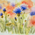 Cornflowers and poppies 34x46 available
