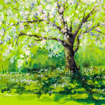 Cherry tree 16 x 24