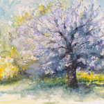 Cherry tree 1 36x48 available