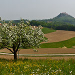 Riegersburg
