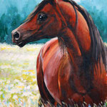 Acrylic 50x70