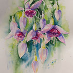 Fuchsia 30x40 available