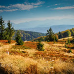 Wielka Racza-Żywiec Beskids