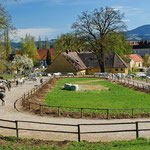 Lipizzanergestüt Piber