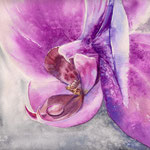Orchid 30x40 available