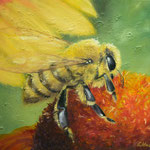 Oil 50x60