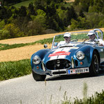 114 Shelby Cobra Replica   / 1964