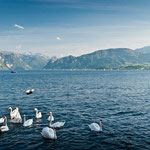 Traunsee