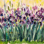 Irises