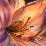 Lily 36x48  available