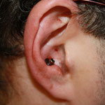 4 mm Conch